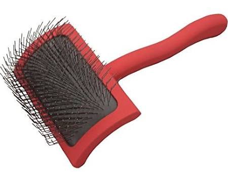 Basic grooming equipment for a poodle - Poodle Sense